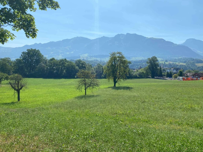 Hofmatt, Sarnen